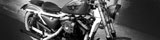 Harley Davidson XLH883